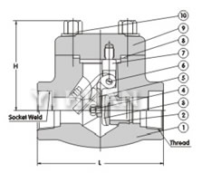 Bolt type swing check valve brief figure of structure