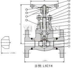 Flanged end gate valve brief figure of structure