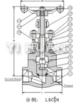 Forged steel bolt globe valve brief figure of structure