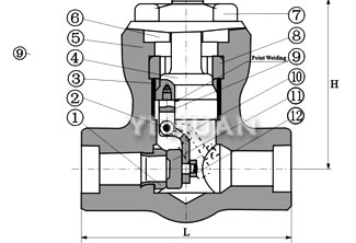 Pressure-seal piston check valve brief figure of structure