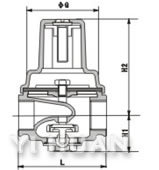 YZ11X directly acting pressure reducing valve construction