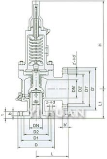 A42C Type Pound-Grade Low Lift Spring Loaded Safety Valve