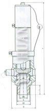 Air compressor safety valve brief figure of structure