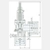 Please click the right side title:WA42C blanced bellows spring loaded safety valve