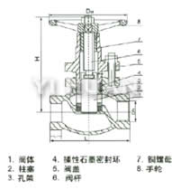 U11SM-16/25/40C/P内螺纹柱塞阀结构图